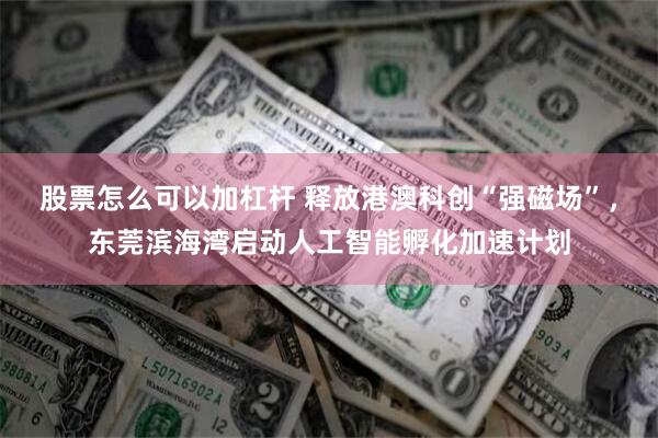 股票怎么可以加杠杆 释放港澳科创“强磁场”,东莞滨海湾启动人工智能孵化加速计划