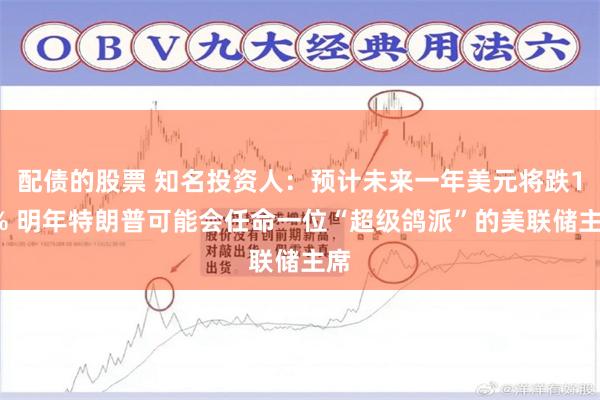 配债的股票 知名投资人:预计未来一年美元将跌10% 明年特朗普可能会任命一位“超级鸽派”的美联储主席
