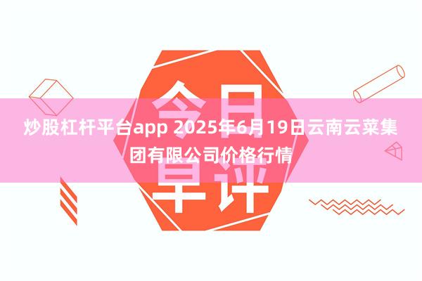 炒股杠杆平台app 2025年6月19日云南云菜集团有限公司价格行情