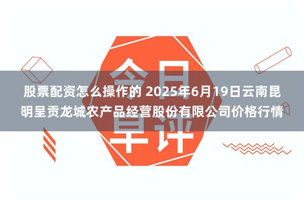 股票配资怎么操作的 2025年6月19日云南昆明呈贡龙城农产品经营股份有限公司价格行情