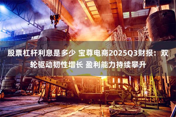 股票杠杆利息是多少 宝尊电商2025Q3财报:双轮驱动韧性增长 盈利能力持续攀升
