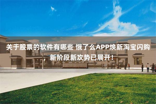 关于股票的软件有哪些 饿了么APP焕新淘宝闪购，新阶段新攻势已展开！