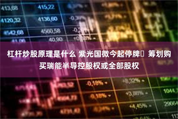 杠杆炒股原理是什么 紫光国微今起停牌 筹划购买瑞能半导控股权或全部股权