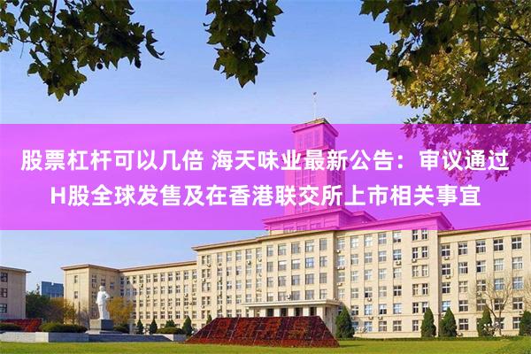 股票杠杆可以几倍 海天味业最新公告：审议通过H股全球发售及在香港联交所上市相关事宜