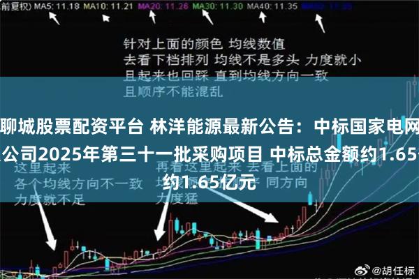聊城股票配资平台 林洋能源最新公告：中标国家电网有限公司2025年第三十一批采购项目 中标总金额约1.65亿元