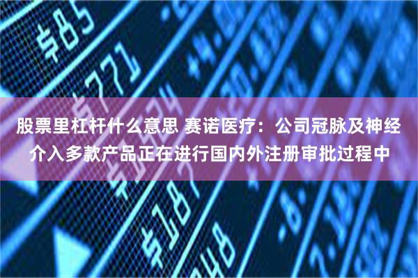 股票里杠杆什么意思 赛诺医疗：公司冠脉及神经介入多款产品正在进行国内外注册审批过程中
