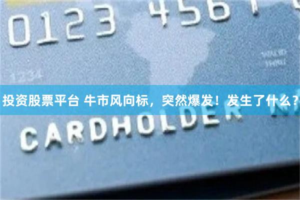 投资股票平台 牛市风向标，突然爆发！发生了什么？