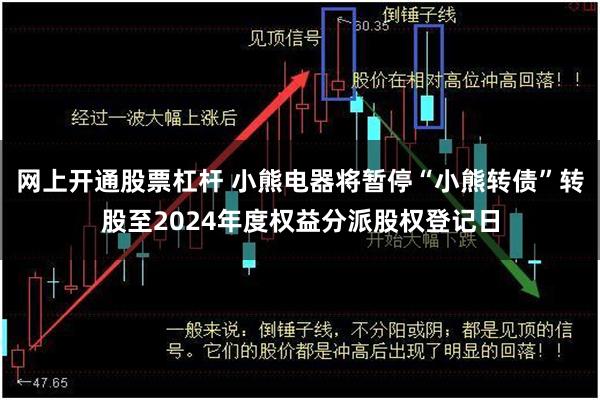 网上开通股票杠杆 小熊电器将暂停“小熊转债”转股至2024年度权益分派股权登记日