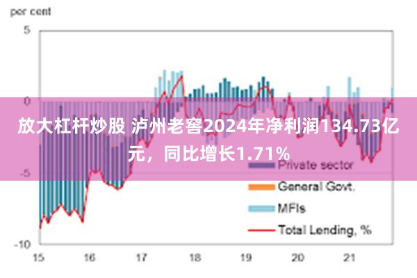 放大杠杆炒股 泸州老窖2024年净利润134.73亿元，同比增长1.71%