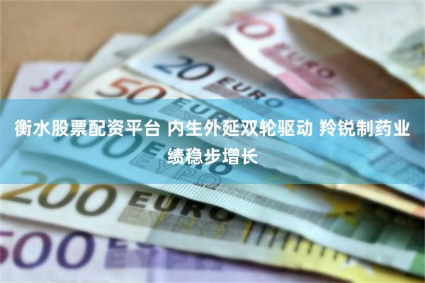 衡水股票配资平台 内生外延双轮驱动 羚锐制药业绩稳步增长