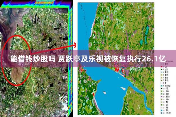 能借钱炒股吗 贾跃亭及乐视被恢复执行26.1亿