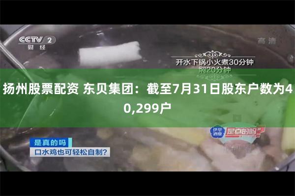 扬州股票配资 东贝集团：截至7月31日股东户数为40,299户
