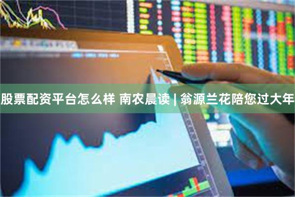 股票配资平台怎么样 南农晨读 | 翁源兰花陪您过大年