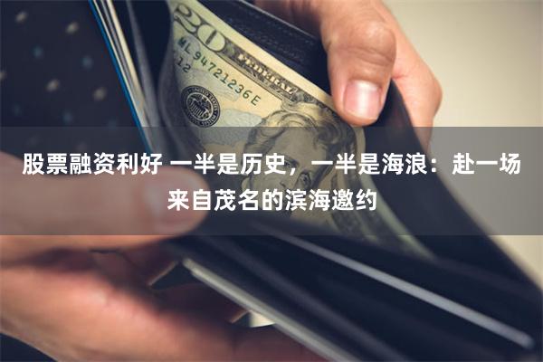 股票融资利好 一半是历史，一半是海浪：赴一场来自茂名的滨海邀约