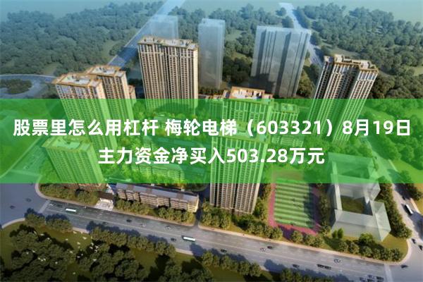 股票里怎么用杠杆 梅轮电梯（603321）8月19日主力资金净买入503.28万元