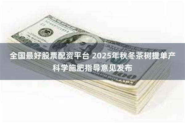 全国最好股票配资平台 2025年秋冬茶树提单产科学施肥指导意见发布