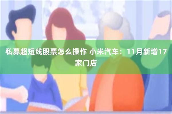 私募超短线股票怎么操作 小米汽车：11月新增17家门店
