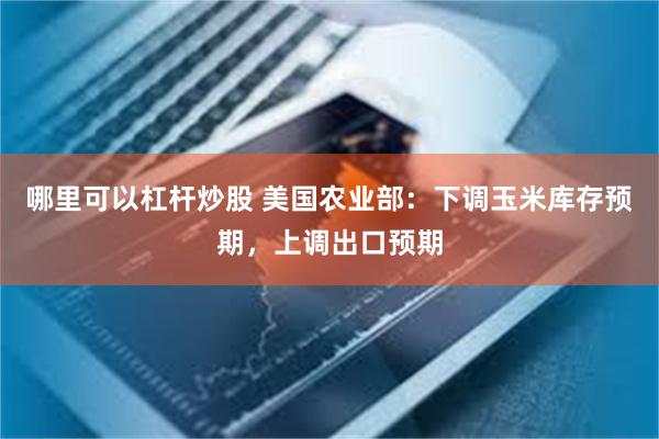 哪里可以杠杆炒股 美国农业部：下调玉米库存预期，上调出口预期