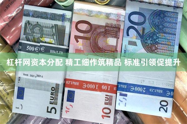 杠杆网资本分配 精工细作筑精品 标准引领促提升
