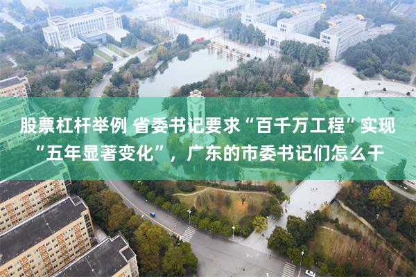 股票杠杆举例 省委书记要求“百千万工程”实现“五年显著变化”，广东的市委书记们怎么干