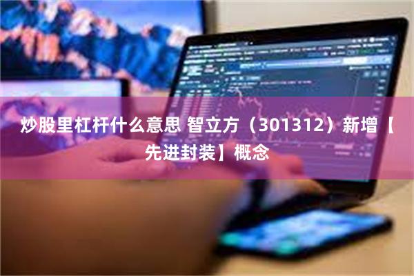炒股里杠杆什么意思 智立方（301312）新增【先进封装】概念