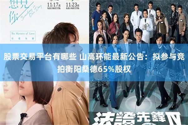 股票交易平台有哪些 山高环能最新公告：拟参与竞拍衡阳桑德65%股权