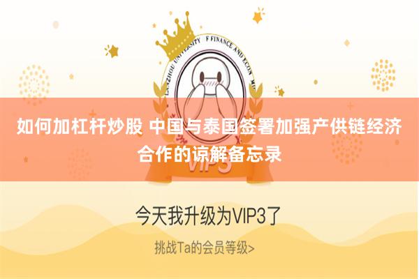 如何加杠杆炒股 中国与泰国签署加强产供链经济合作的谅解备忘录