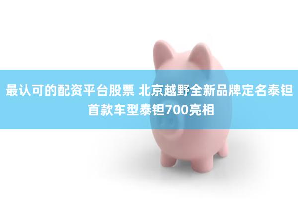最认可的配资平台股票 北京越野全新品牌定名泰钽 首款车型泰钽700亮相