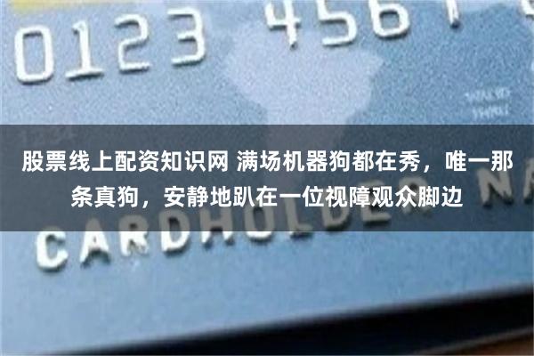 股票线上配资知识网 满场机器狗都在秀，唯一那条真狗，安静地趴在一位视障观众脚边