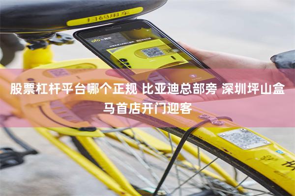 股票杠杆平台哪个正规 比亚迪总部旁 深圳坪山盒马首店开门迎客
