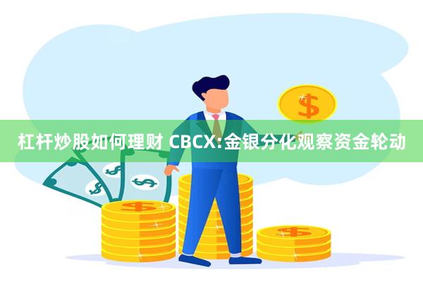 杠杆炒股如何理财 CBCX:金银分化观察资金轮动