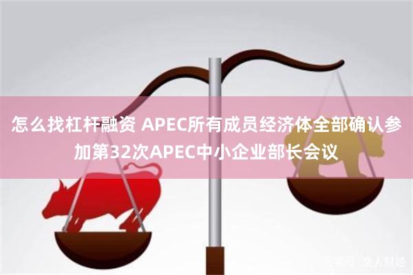 怎么找杠杆融资 APEC所有成员经济体全部确认参加第32次APEC中小企业部长会议