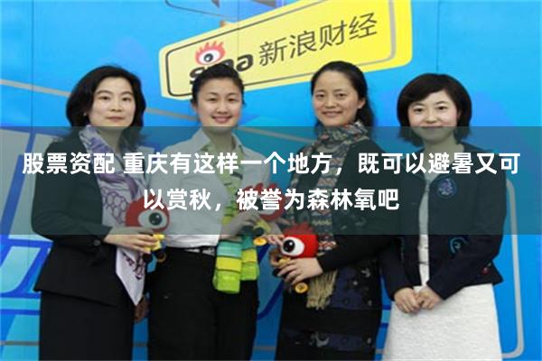 股票资配 重庆有这样一个地方，既可以避暑又可以赏秋，被誉为森林氧吧