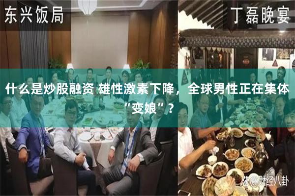 什么是炒股融资 雄性激素下降，全球男性正在集体“变娘”？