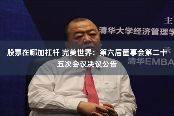 股票在哪加杠杆 完美世界：第六届董事会第二十五次会议决议公告