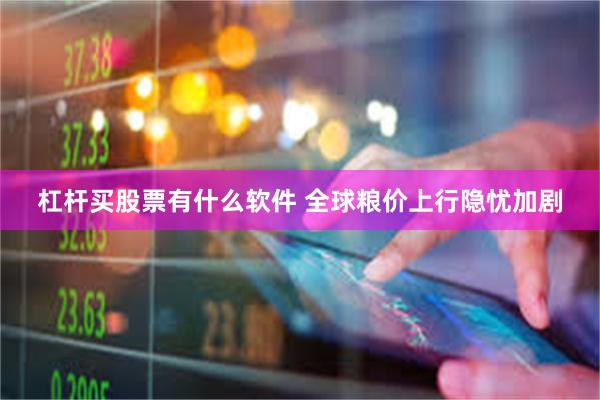 杠杆买股票有什么软件 全球粮价上行隐忧加剧