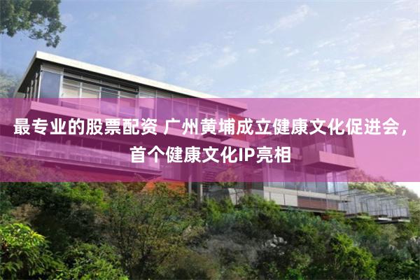 最专业的股票配资 广州黄埔成立健康文化促进会，首个健康文化IP亮相