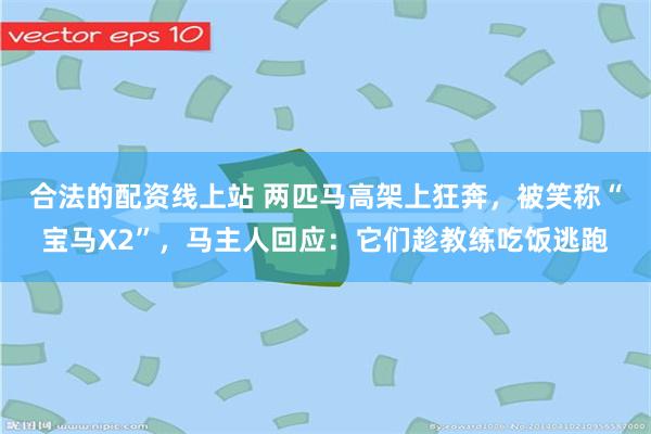 合法的配资线上站 两匹马高架上狂奔，被笑称“宝马X2”，马主人回应：它们趁教练吃饭逃跑