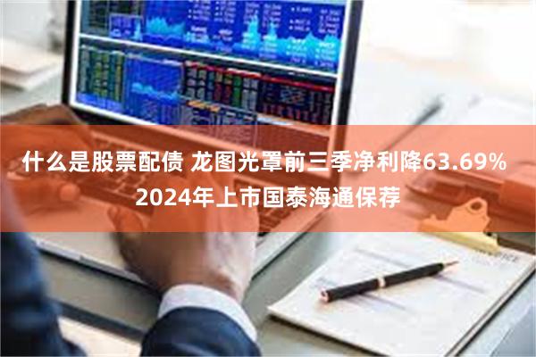 什么是股票配债 龙图光罩前三季净利降63.69% 2024年上市国泰海通保荐